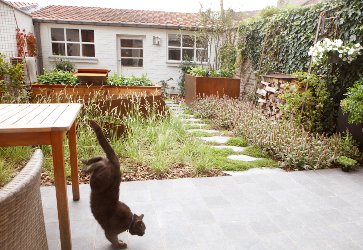 Hoe beleef jij jouw tuin vandaag