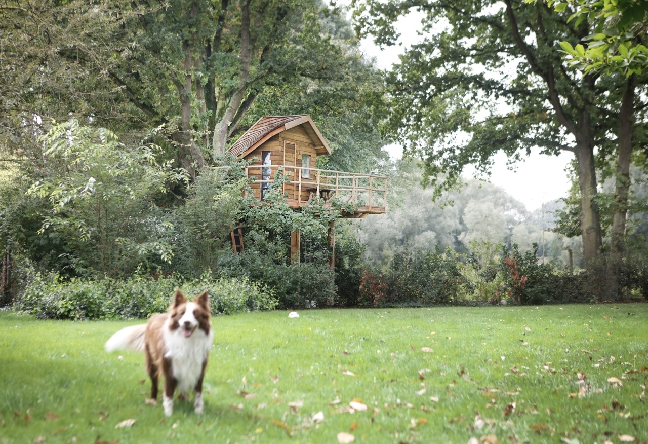 Waarom investeren in een tuinarchitect? De voordelen van professioneel ontwerp en aanleg