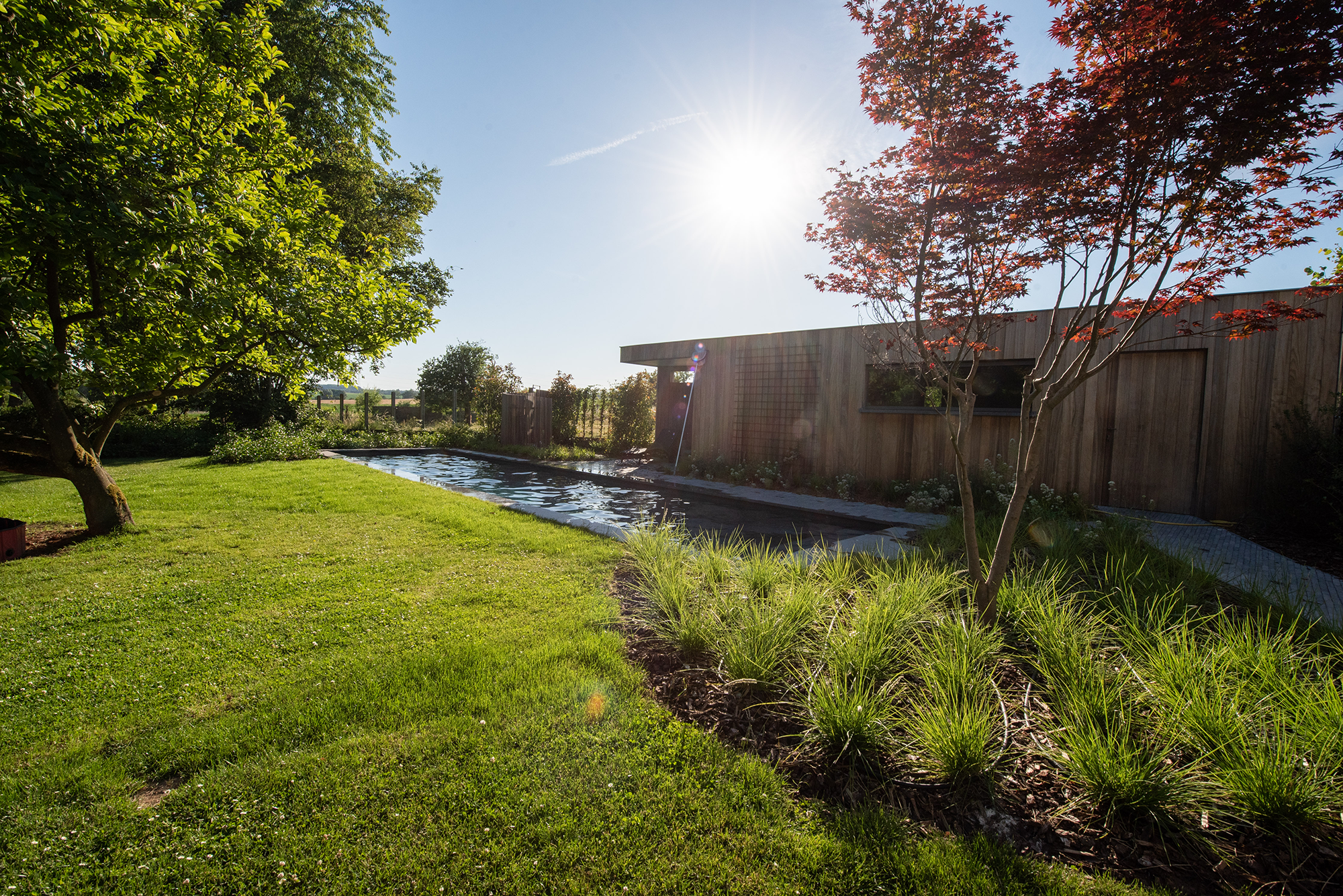 Gezocht: ruimte om te ravotten