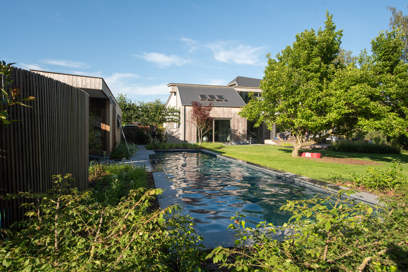 Gezocht: ruimte om te ravotten