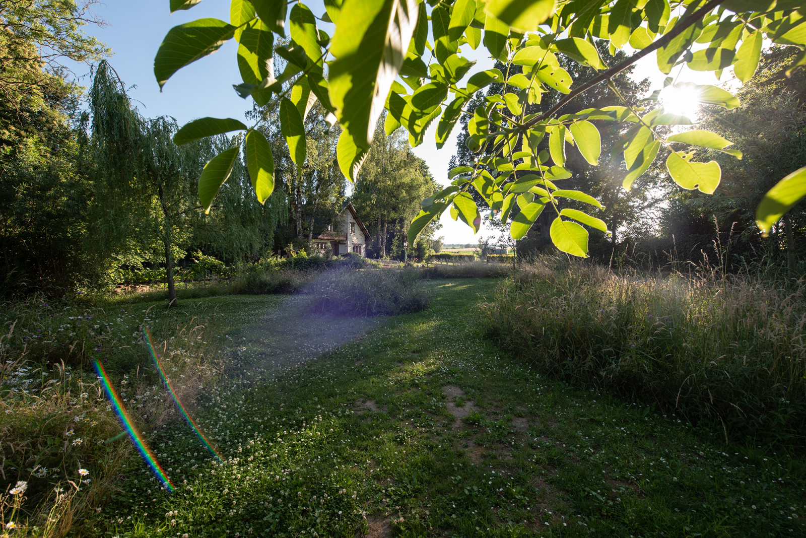 Gezocht: ruimte om te ravotten