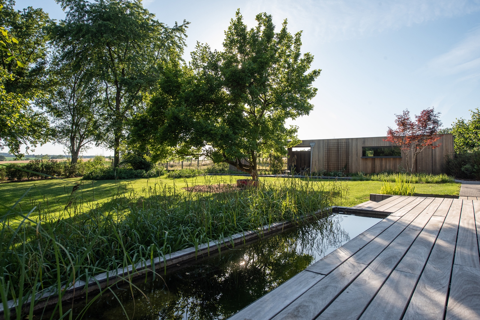 Gezocht: ruimte om te ravotten